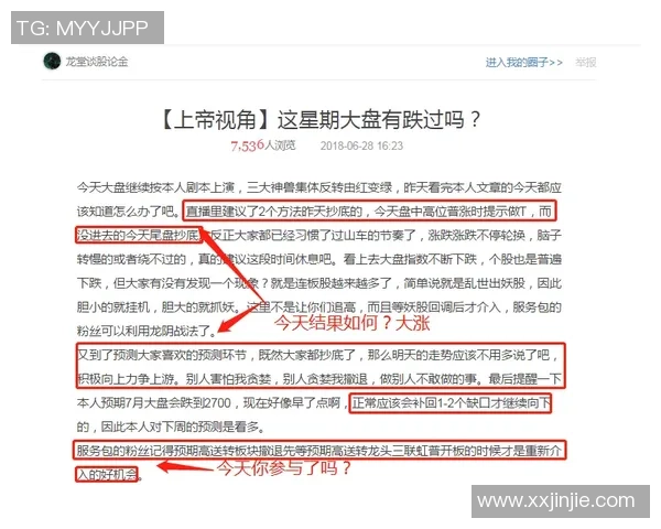 V5战队运营策略分析与成败得失的深度剖析