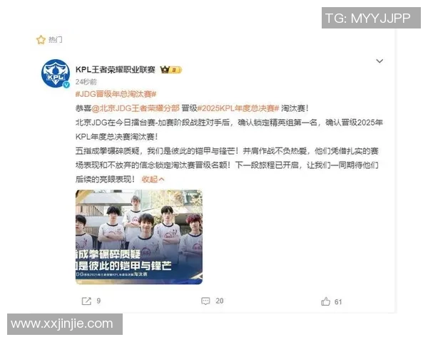 王者荣耀团队协作排名新突破JDG表现亮眼引发热议